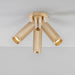 J. Adams & Co Spot Ceiling Light