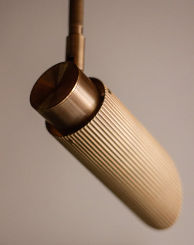 J. Adams & Co Spot Pro Ceiling Light