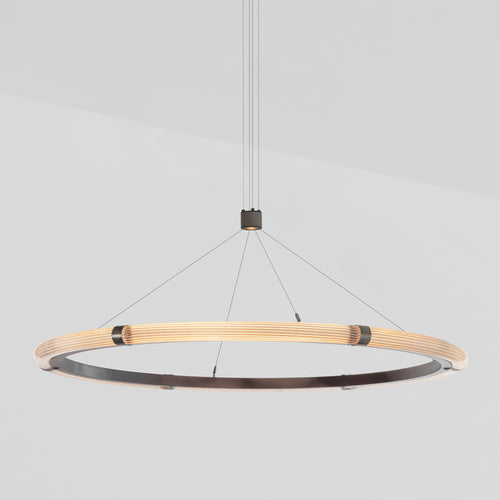 J. Adams & Co Strata Circular Suspension Light