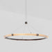 J. Adams & Co Strata Circular Suspension Light