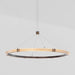 J. Adams & Co Strata Circular Suspension Light