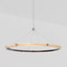 J. Adams & Co Strata Circular Suspension Light