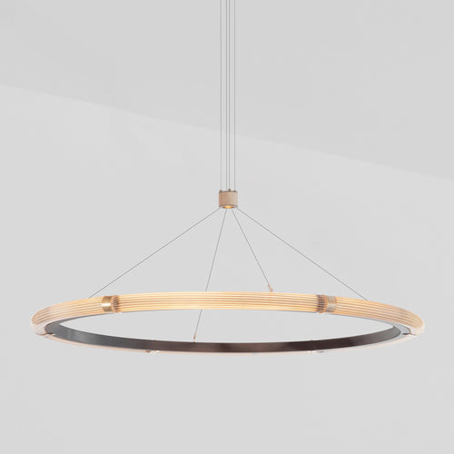 J. Adams & Co Strata Circular Suspension Light