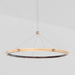 J. Adams & Co Strata Circular Suspension Light