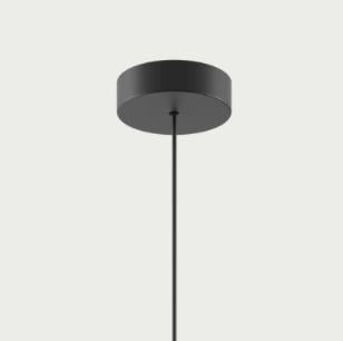 Lodes Single Light Canopy