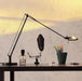 Luceplan Berenice Desk Lamp