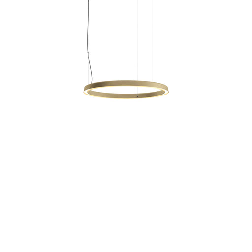 Luceplan Compendium Circle Suspension Light - Inspyer Lighting