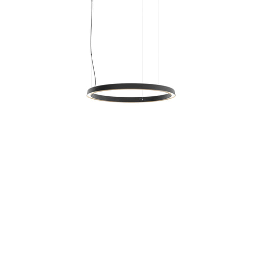 Luceplan Compendium Circle Suspension Light