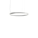 Luceplan Compendium Circle Suspension Light - Inspyer Lighting