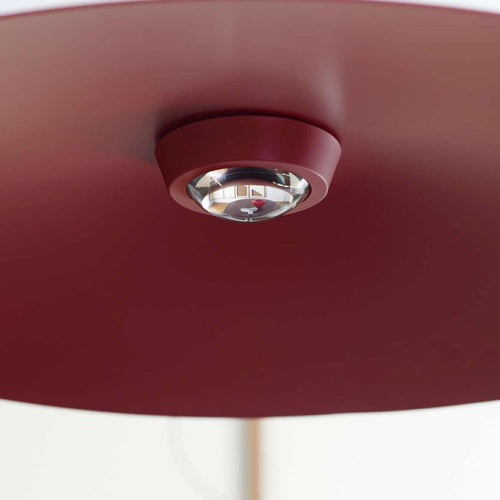 Luceplan Koinè Pendant Light