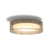 Marset Ringo Ceiling Light