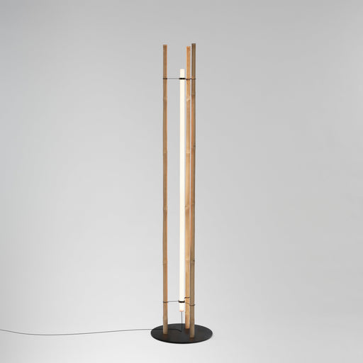 Michael Anastassiades TA-KE Floor Lamp