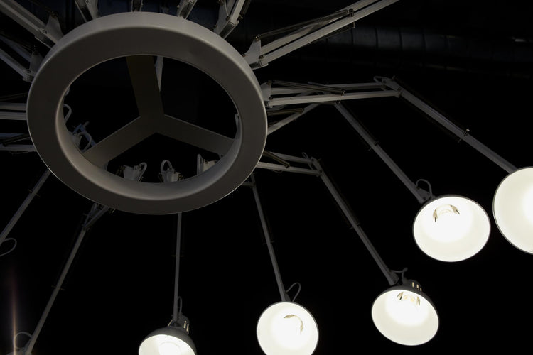 Moooi Dear Ingo Pendant Light