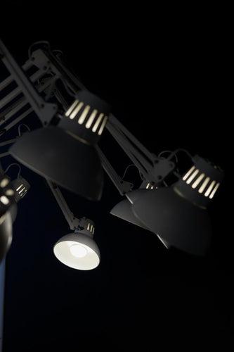 Moooi Dear Ingo Pendant Light