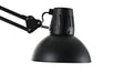 Moooi Dear Ingo Pendant Light