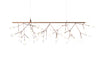 Moooi Heracleum III Endless Suspension Light