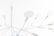 Moooi Heracleum III Suspension Light