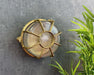 Navigator Grand Capstan Bulkhead Outdoor Wall Light