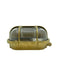 Navigator Palaemon North Bulkhead Outdoor Wall Light
