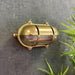 Navigator Palaemon North Bulkhead Outdoor Wall Light