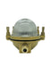 Navigator Small Siren Bulkhead Outdoor Wall Light