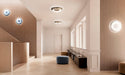 Panzeri Superbold Wall / Ceiling Light
