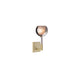 Penta Light Glo Wall Light