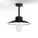 Roger Pradier Belcour Outdoor Ceiling Light