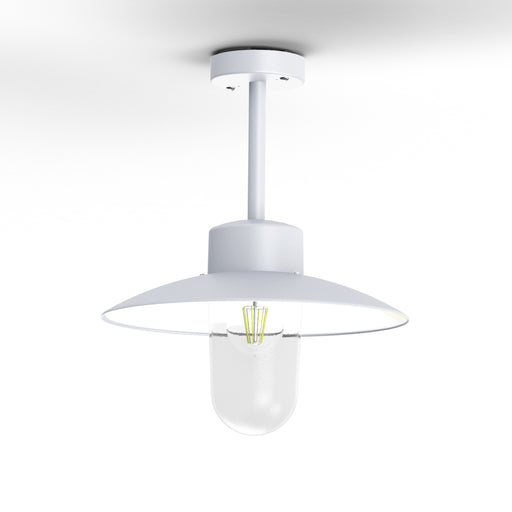 Roger Pradier Belcour Outdoor Ceiling Light