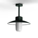 Roger Pradier Belcour Outdoor Ceiling Light