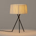 Santa & Cole Trípode Table Lamp