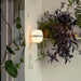 Santa & Cole Wally Cestita Outdoor Wall Light
