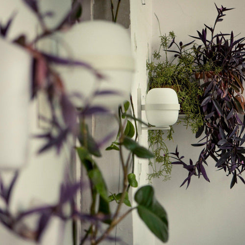 Santa & Cole Wally Cestita Outdoor Wall Light