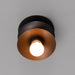 Schwung Babylon One Wall / Ceiling Light
