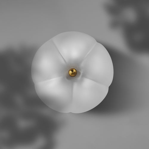 Schwung Hana Ceiling / Wall Light