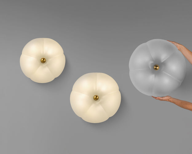 Schwung Hana Ceiling / Wall Light