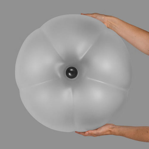 Schwung Hana Ceiling / Wall Light