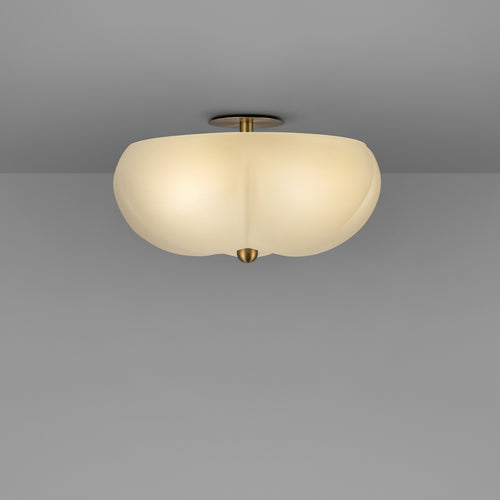 Schwung Hana Ceiling / Wall Light