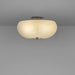Schwung Hana Ceiling / Wall Light