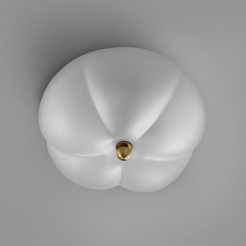 Schwung Hana Ceiling / Wall Light
