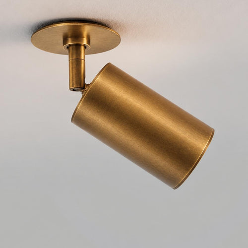 Schwung Ray Flex Spotlight