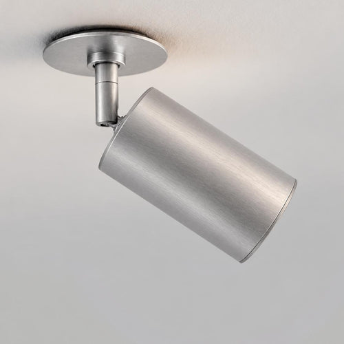 Schwung Ray Flex Spotlight