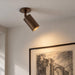 Schwung Ray Flex Spotlight