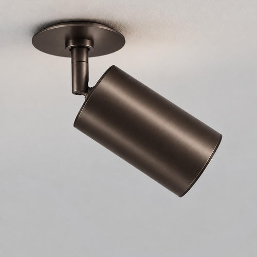 Schwung Ray Flex Spotlight