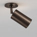 Schwung Ray Flex Spotlight