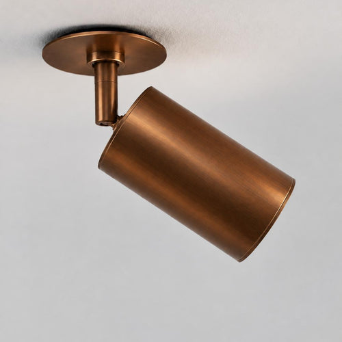 Schwung Ray Flex Spotlight