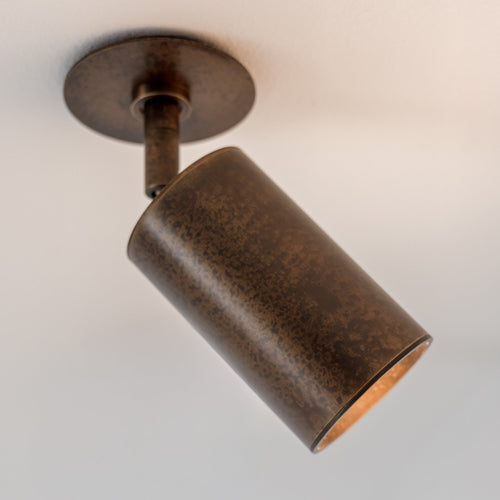 Schwung Ray Flex Spotlight