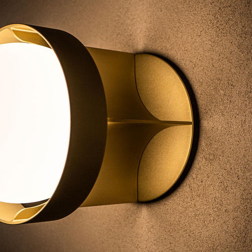 Tala Loop Wall Light with Sphere Bulb