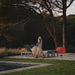 Vibia Closer Outdoor Floor Lamp