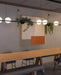 Vibia Palma Horizontal Suspension Light